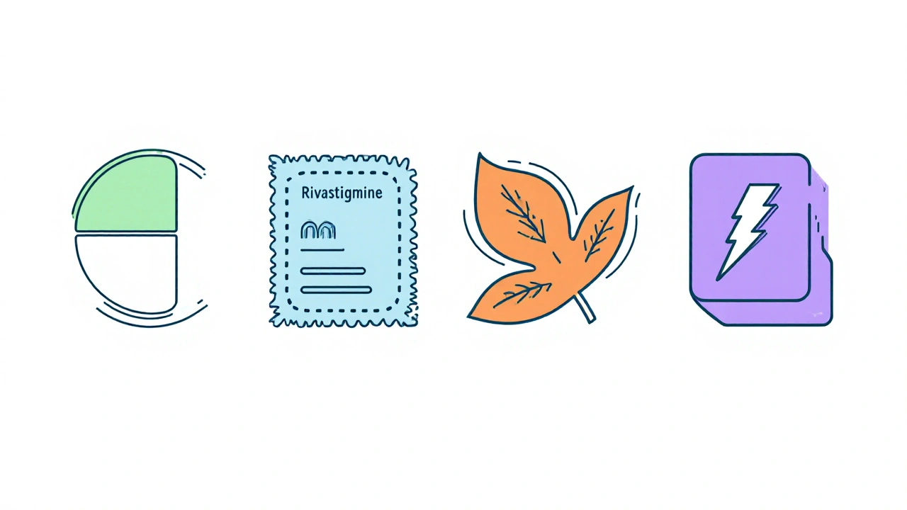 Monoline icons of Aricept pill, Rivastigmine patch, Galantamine tablet, and Memantine tablet.